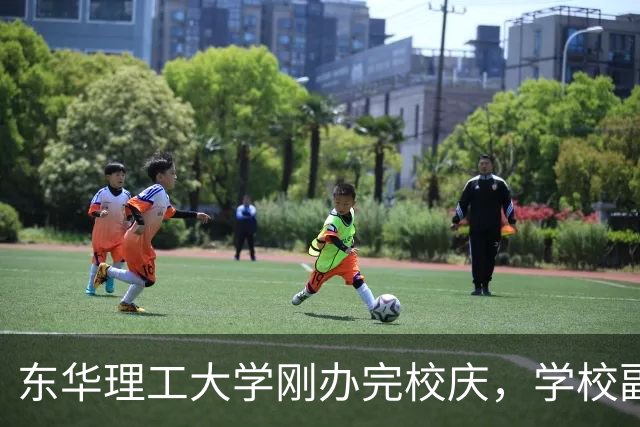 东华理工大学刚办完校庆，学校副书记夏菲便火速晋升校长，衔接的真完美