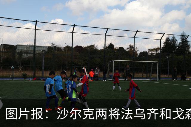 图片报：沙尔克两将法乌齐&戈森斯严重撞伤，将缺席杯赛