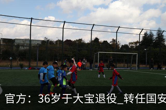 官方：36岁于大宝退役 转任国安青训教练