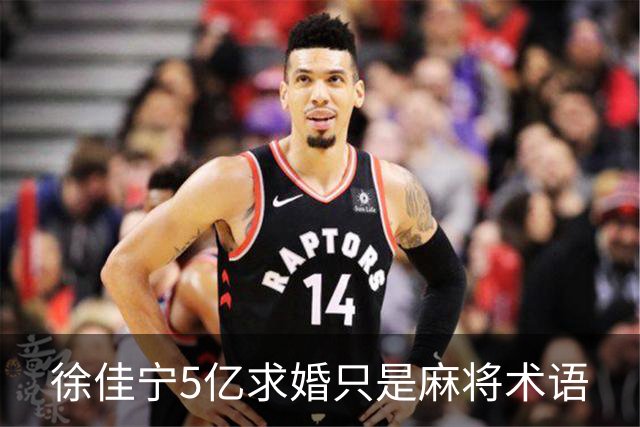 徐佳宁5亿求婚只是麻将术语