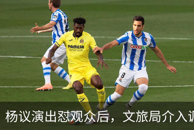 杨议演出怼观众后，文旅局介入调查，限高记录被扒，口碑引发争议