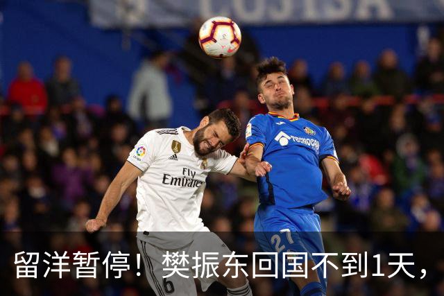 留洋暂停！樊振东回国不到1天，正式官宣新身份，终于等到这一天