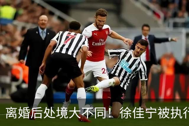 离婚后处境大不同！徐佳宁被执行标的2111万元，李小冉买豪宅名车