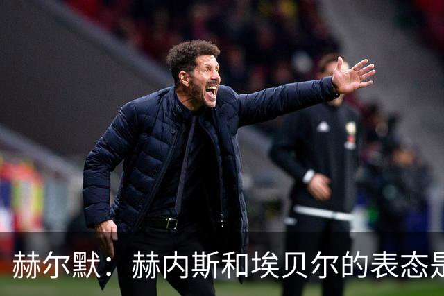 赫尔默：赫内斯和埃贝尔的表态是在警告卡尔，他需要改进