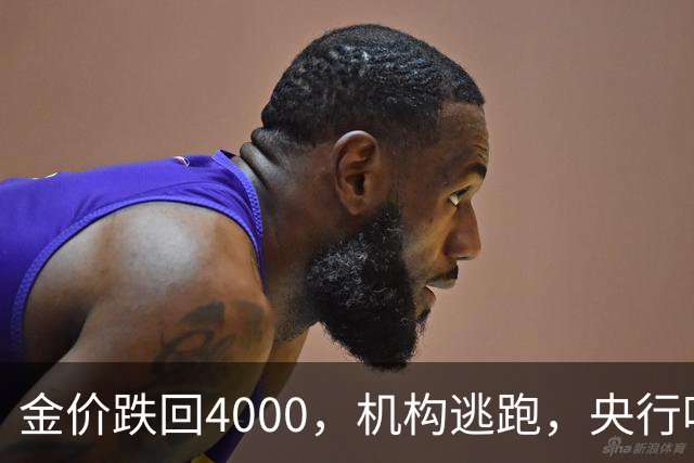 金价跌回4000，机构逃跑，央行吃饱，你相信谁？