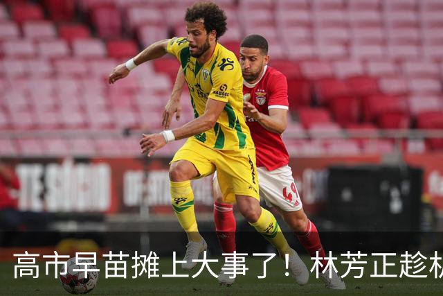 高市早苗摊上大事了！林芳正趁机逼宫高市，要为远大前程撒手一搏