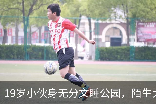 19岁小伙身无分文睡公园，陌生大哥：去我公司干活吧